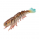 Z-Man PrawnZ Elite Unrigged Lure