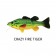 Westin Barry The Bass (Bibbed)