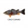 Westin Barry The Bass (HL/SB)