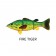 Westin Barry The Bass (HL/SB)
