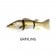 Westin Barry The Bass (HL/SB)