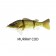 Westin Barry The Bass (HL/SB)