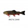 Westin Tommy The Trout