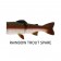 Westin Tommy The Trout