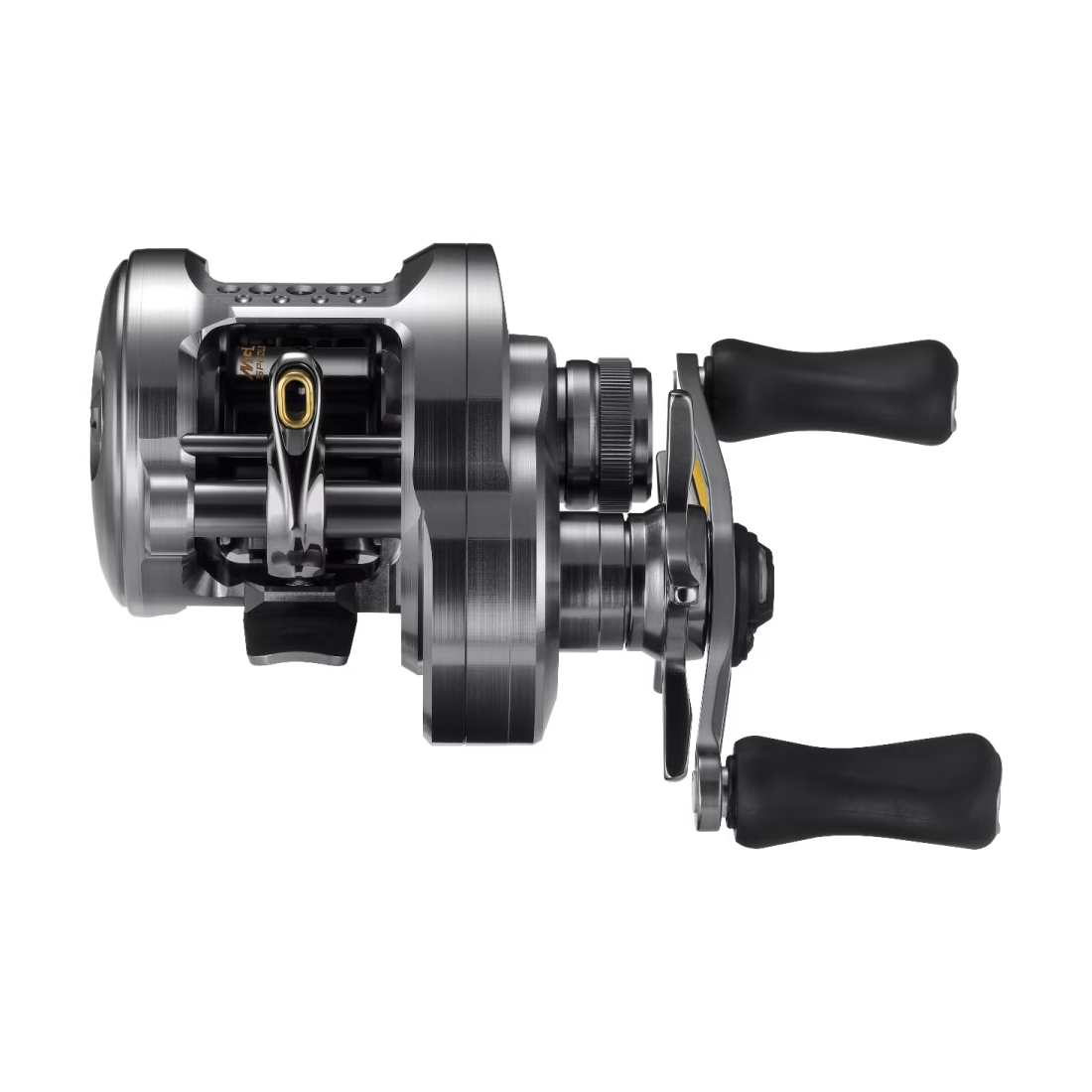 Shimano Calcutta Conquest BFS HG Baitcast Reel | MoTackle & Outdoors