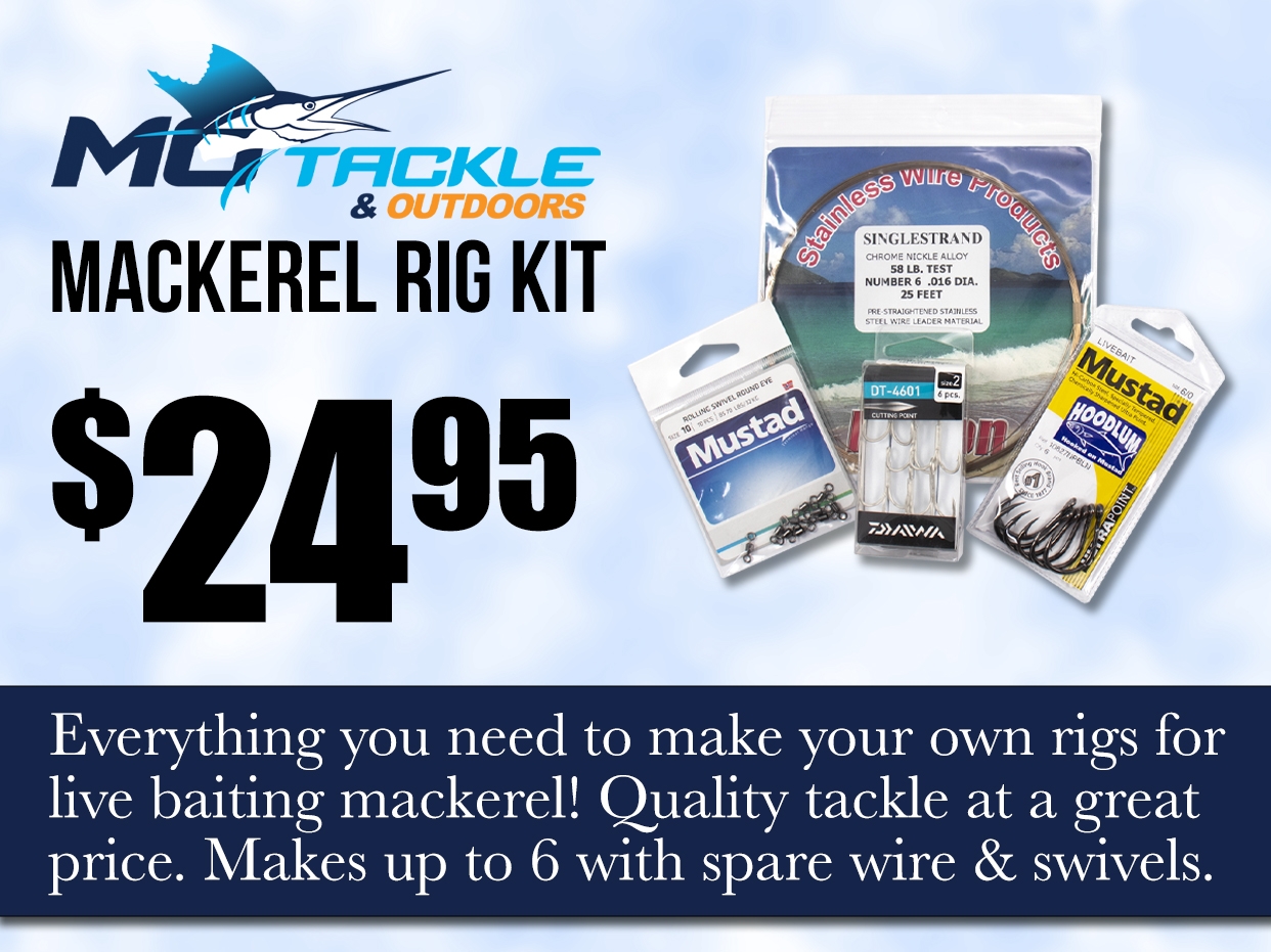 Chasing Mackerel with MoTackle