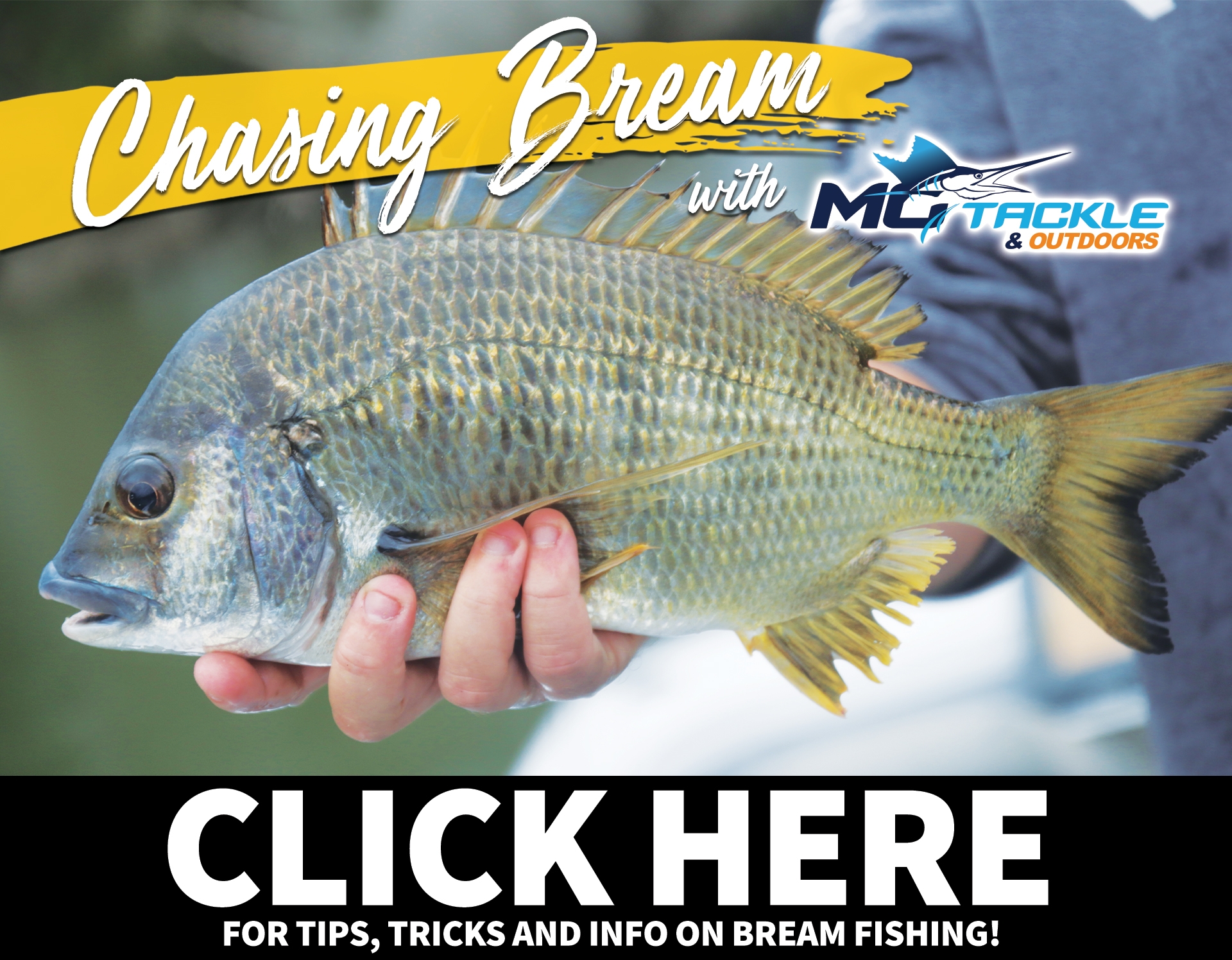 Chasing Bream With Motackle