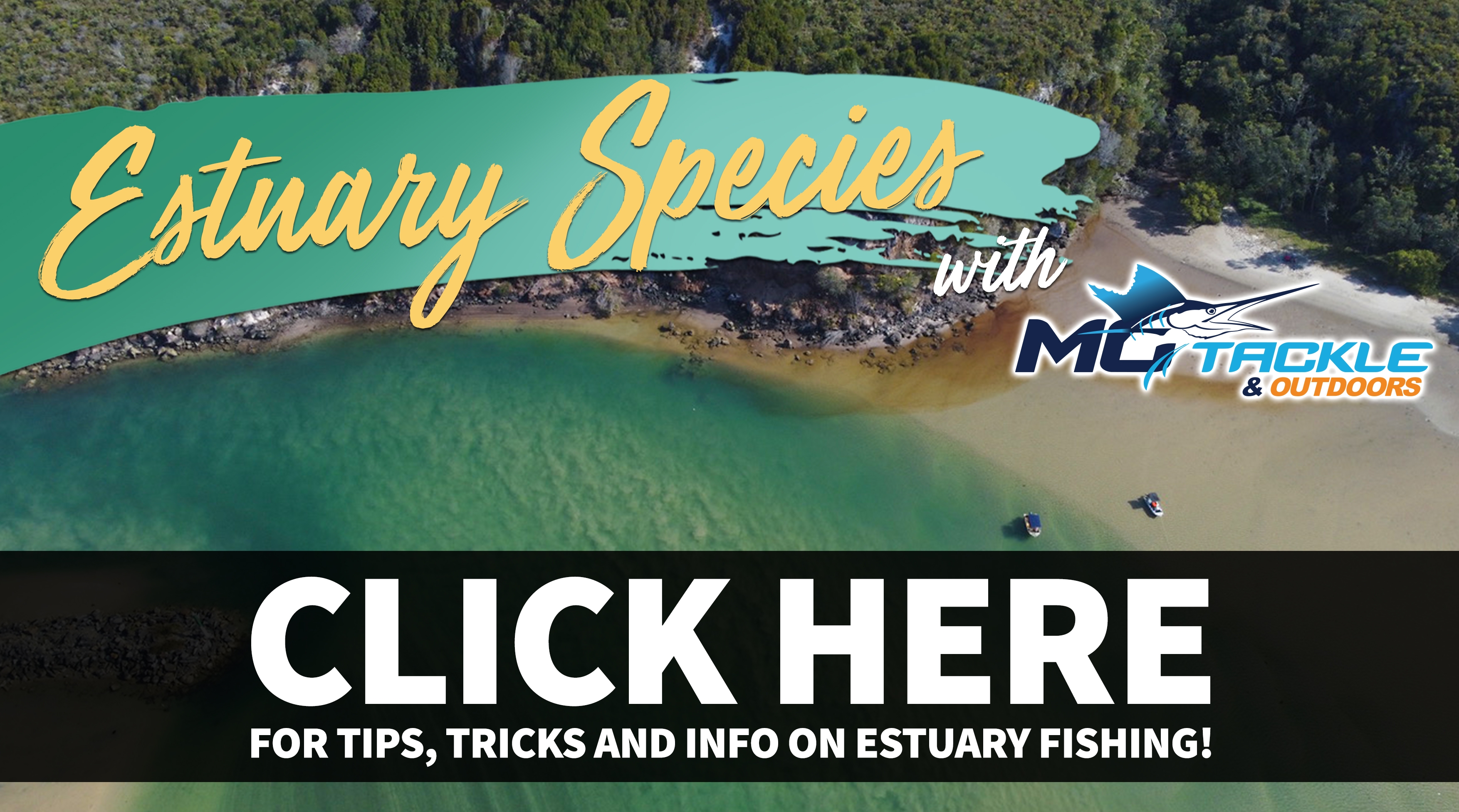 Estuary Species