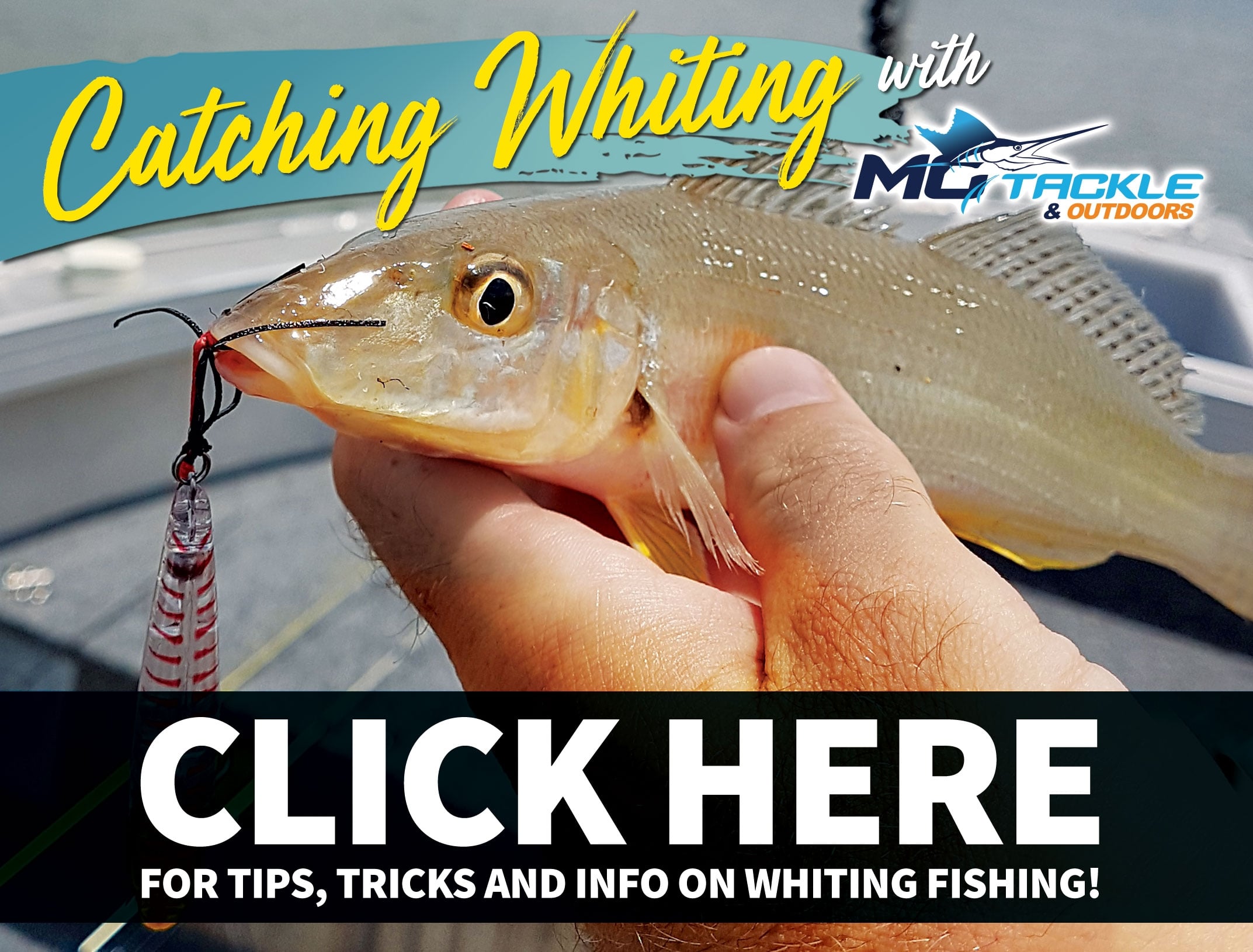 Chasing Whiting with Motackle & Outdoors