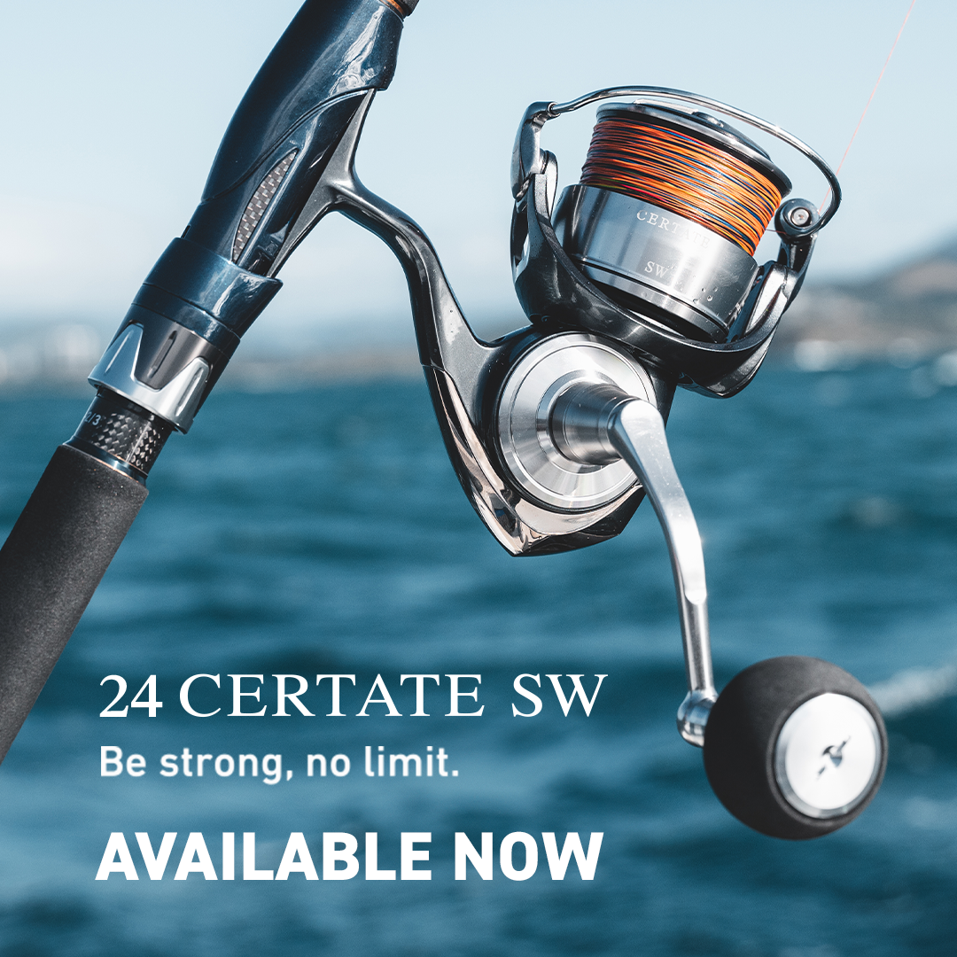 New - Daiwa 24 Certate SW Spin Reel