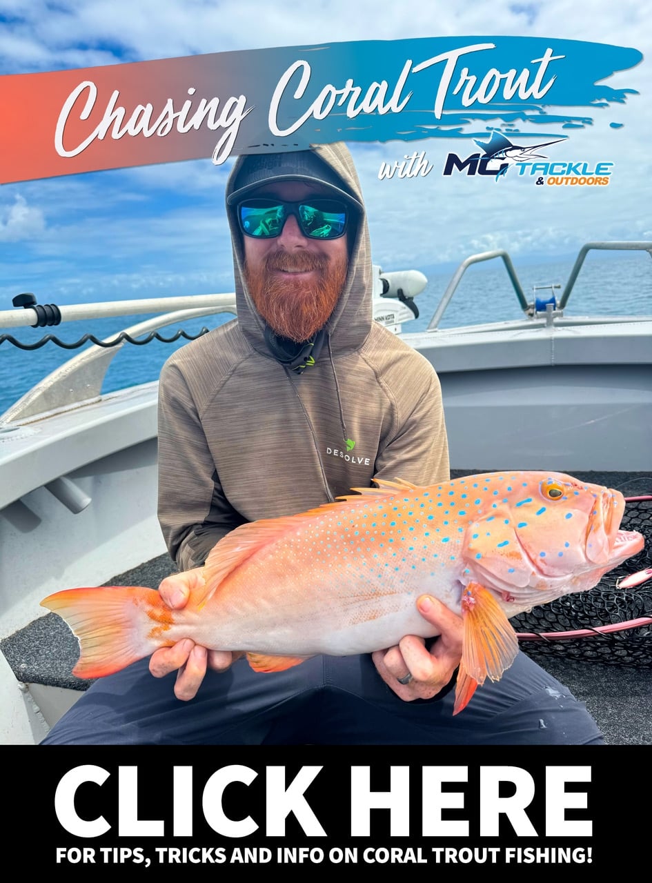 Chasing Coral Trout with Motackle