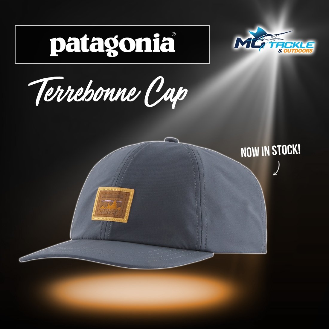 NEW - Patagonia Terrebonne Cap