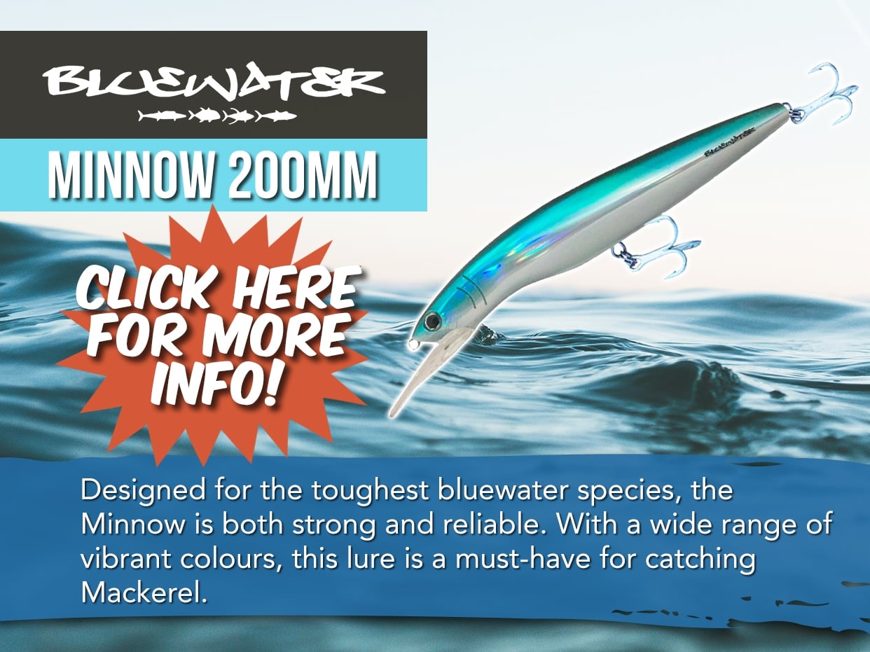 Bluewater Minnow Lure