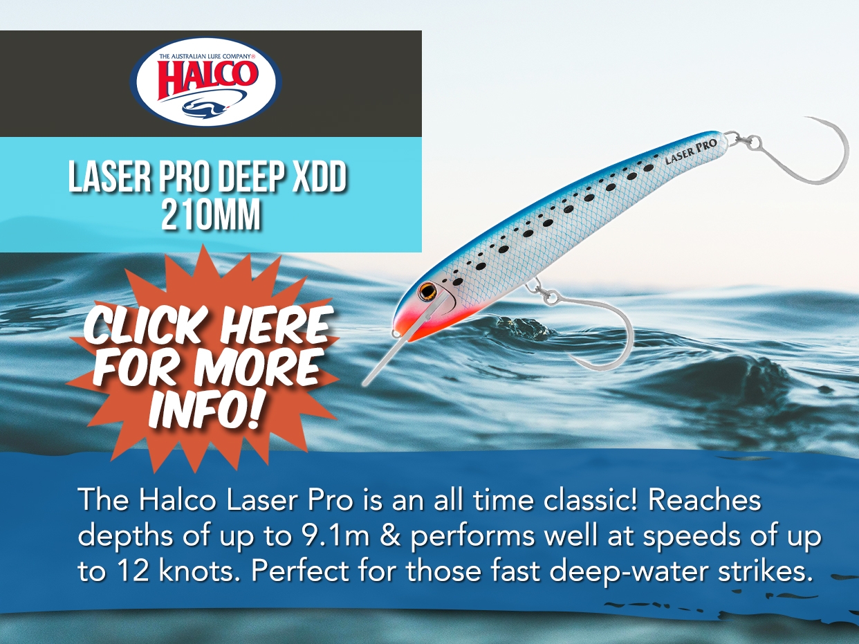 Halco Laser Pro Deep XDD 210mm Lure