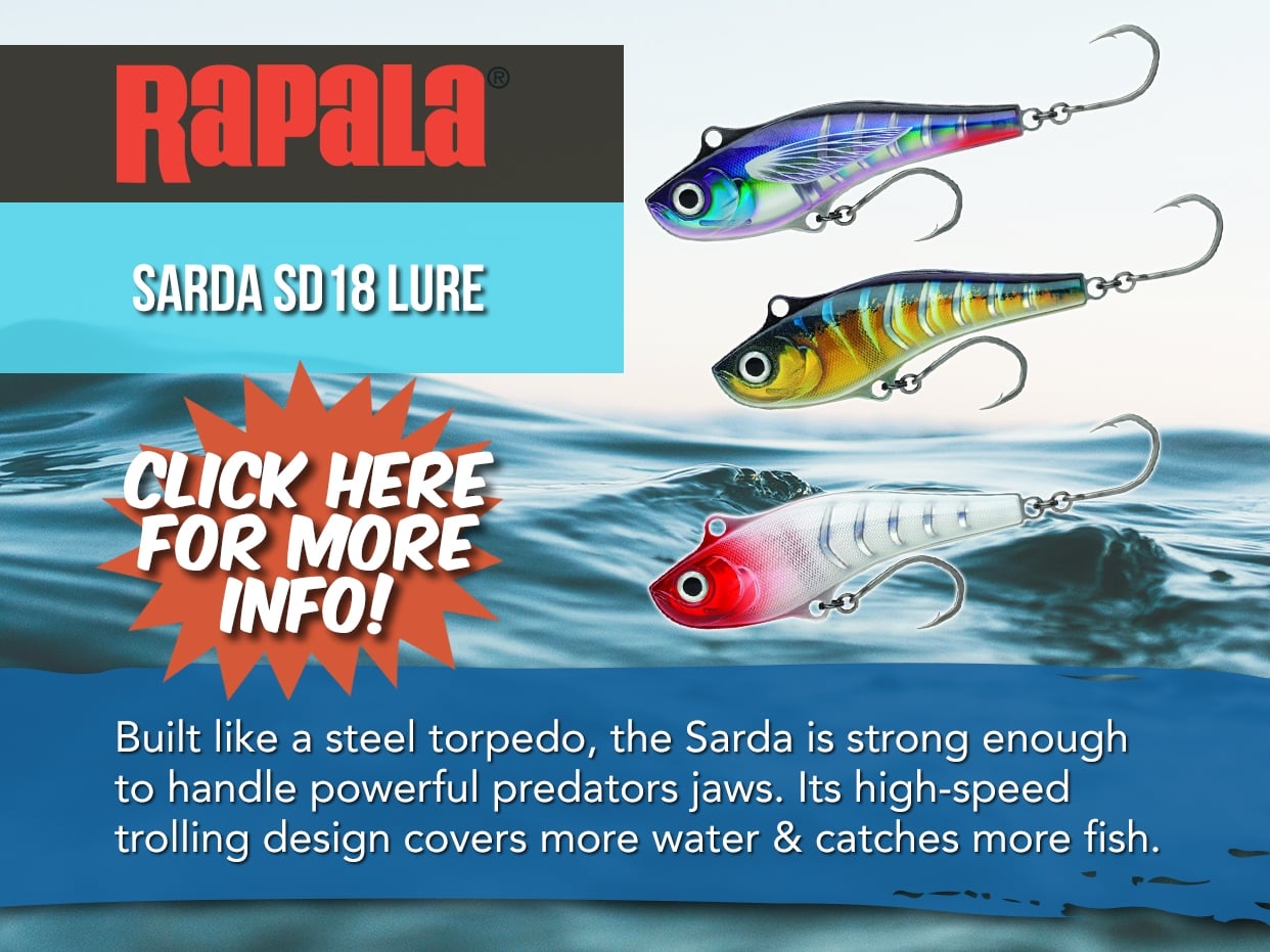 Rapala Sarda SD18 Lure