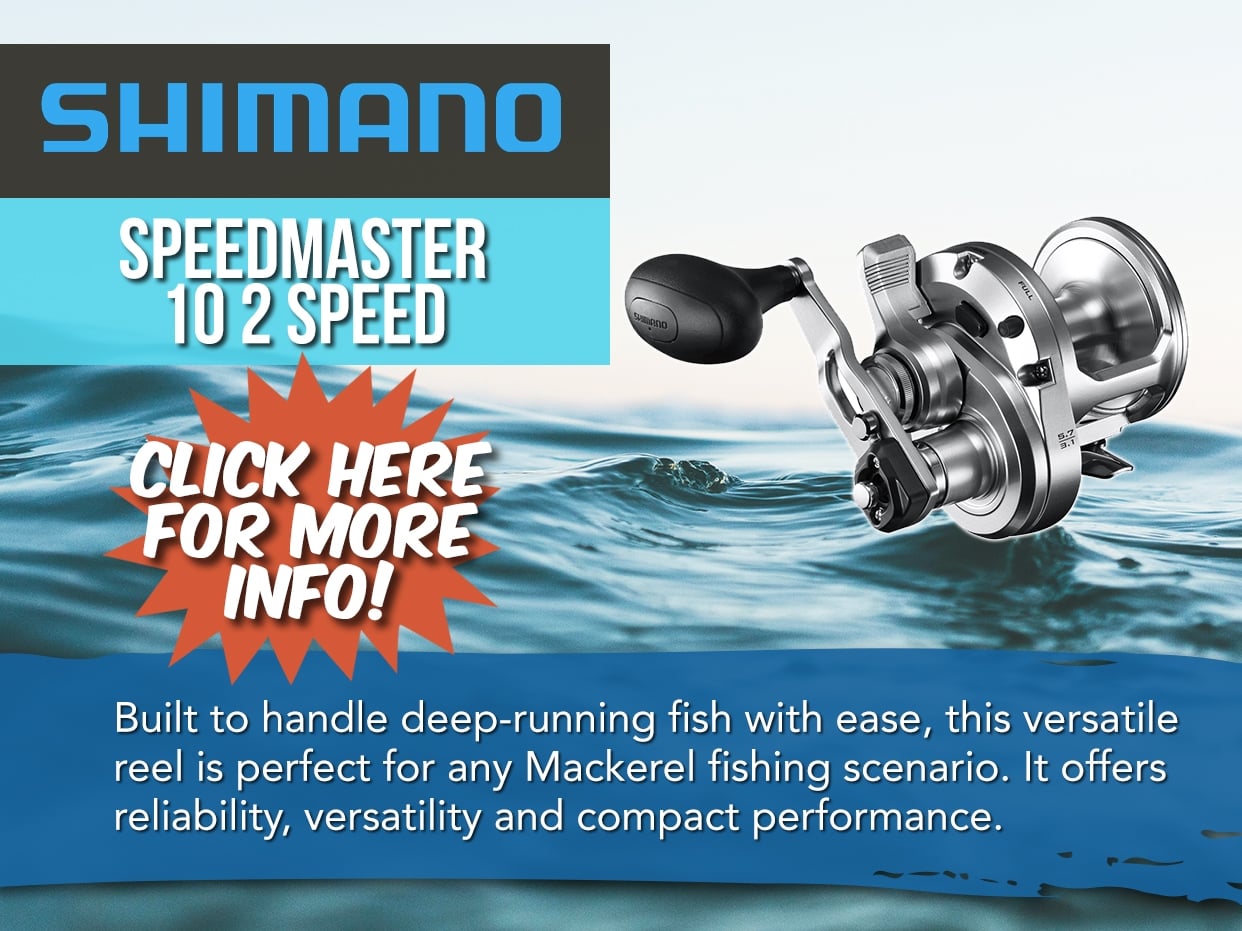 Shimano Speedmaster Overhead Reel
