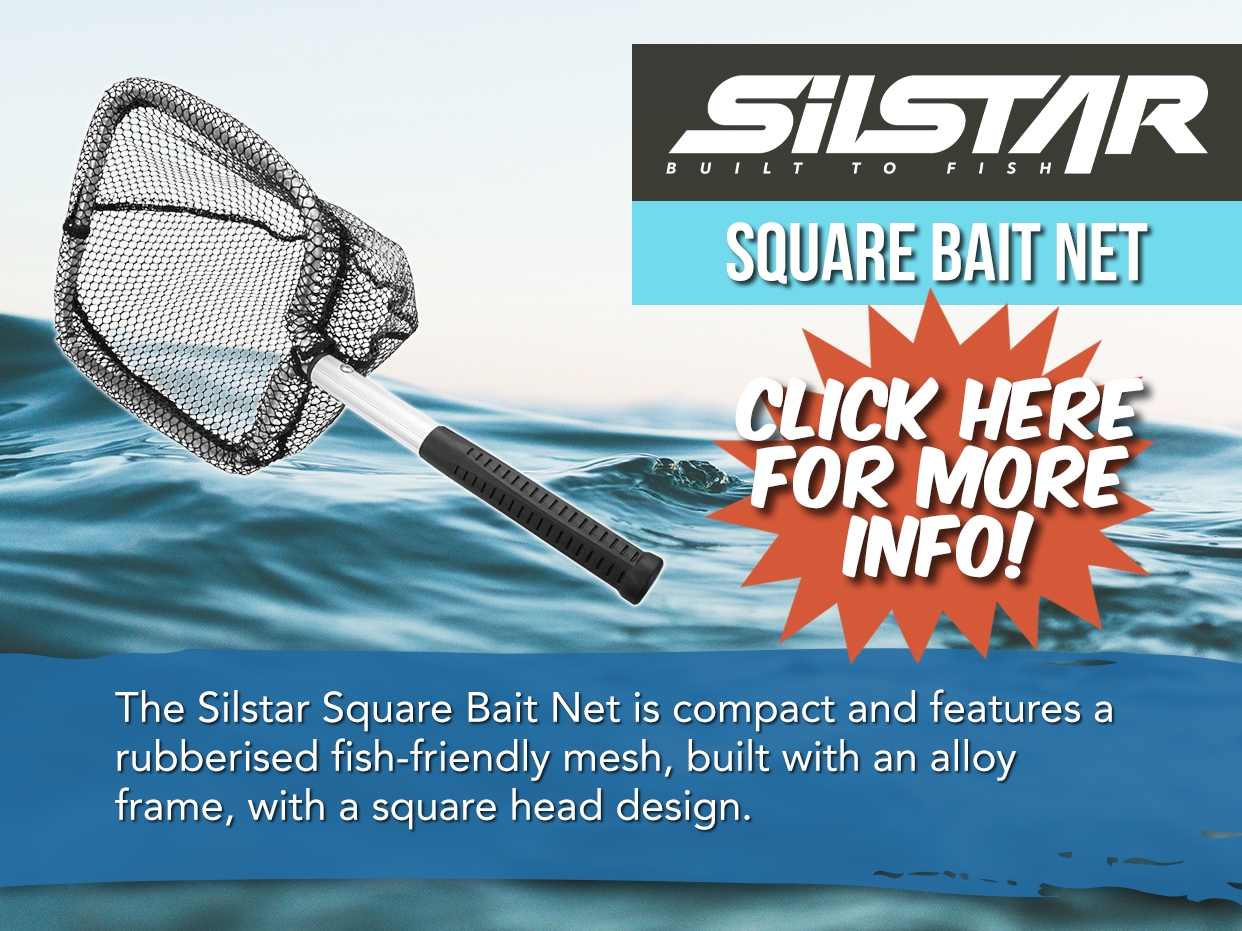 Silstar Square Bait Net