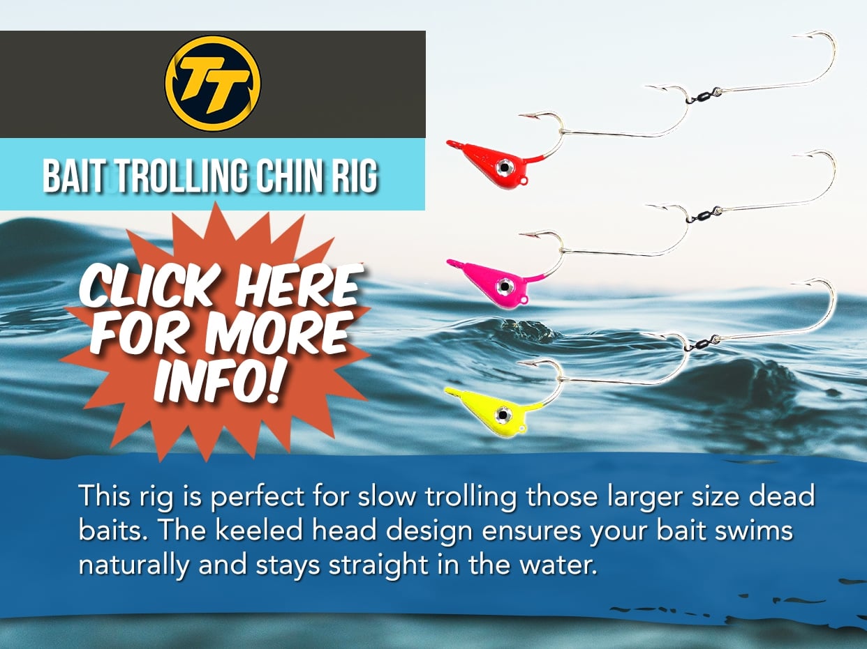 TT Bait Trolling Chin Rig
