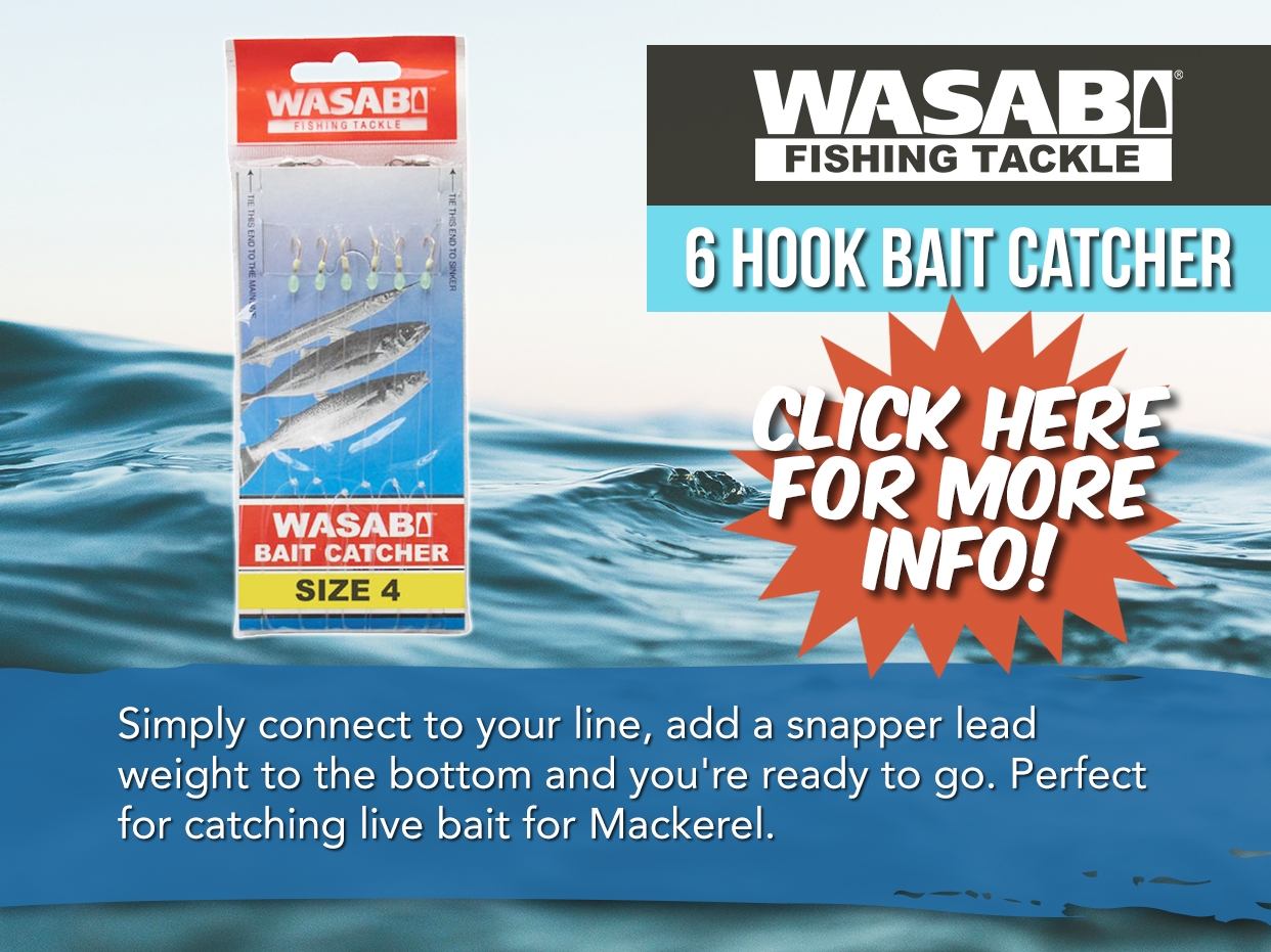 Wasabi Bait Catcher