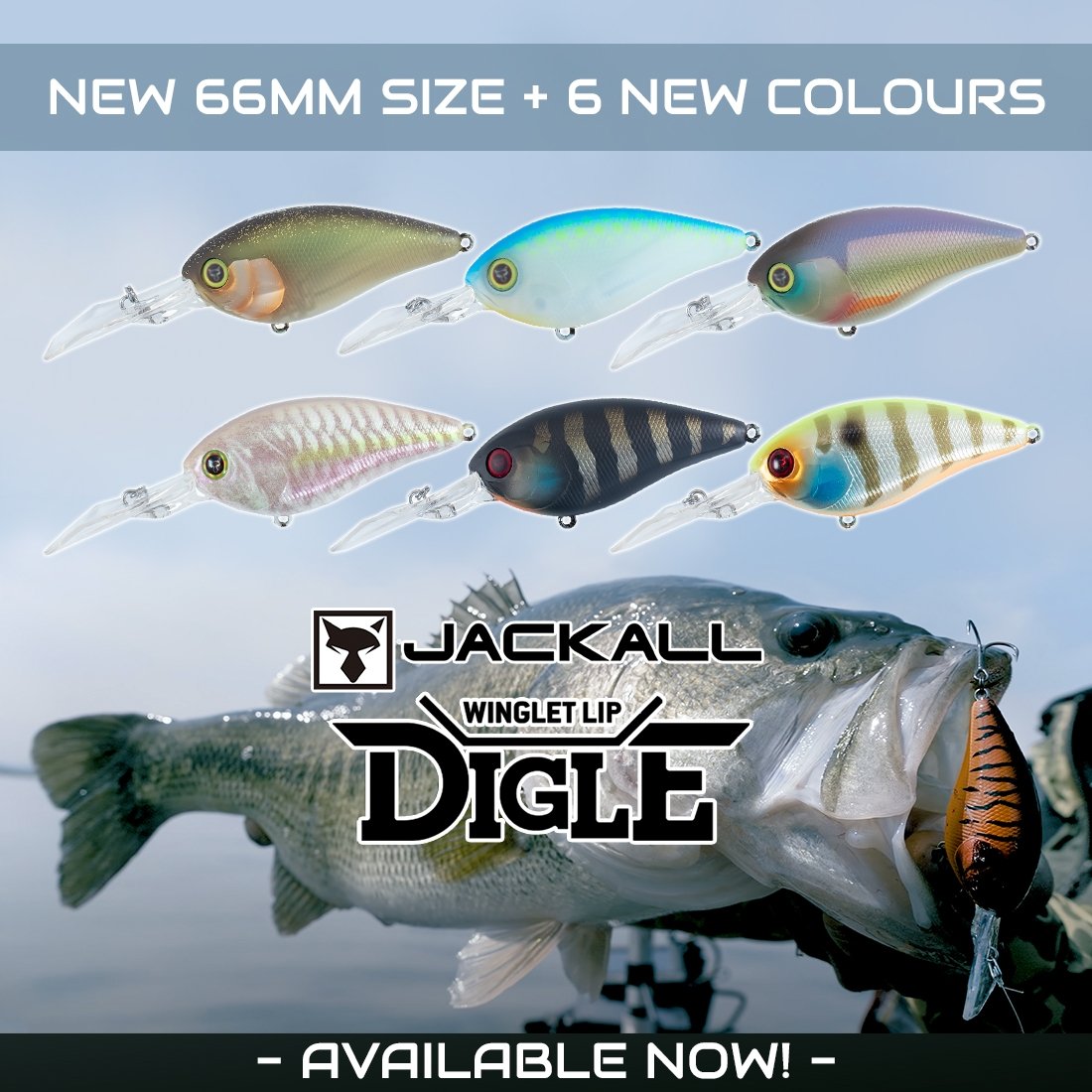 New - Jackall Winglet Lip Digle Lure