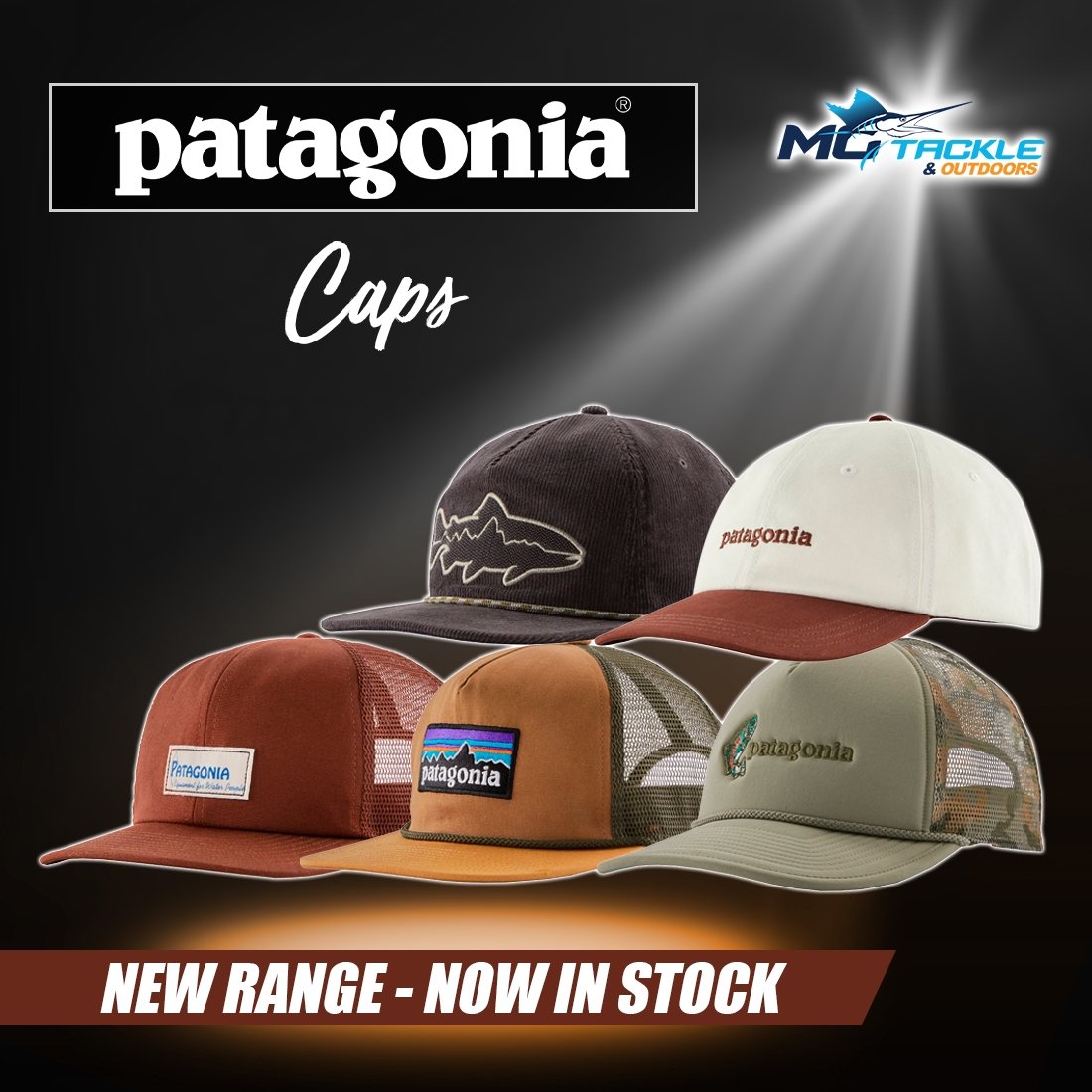 New - Patagonia Cap Range