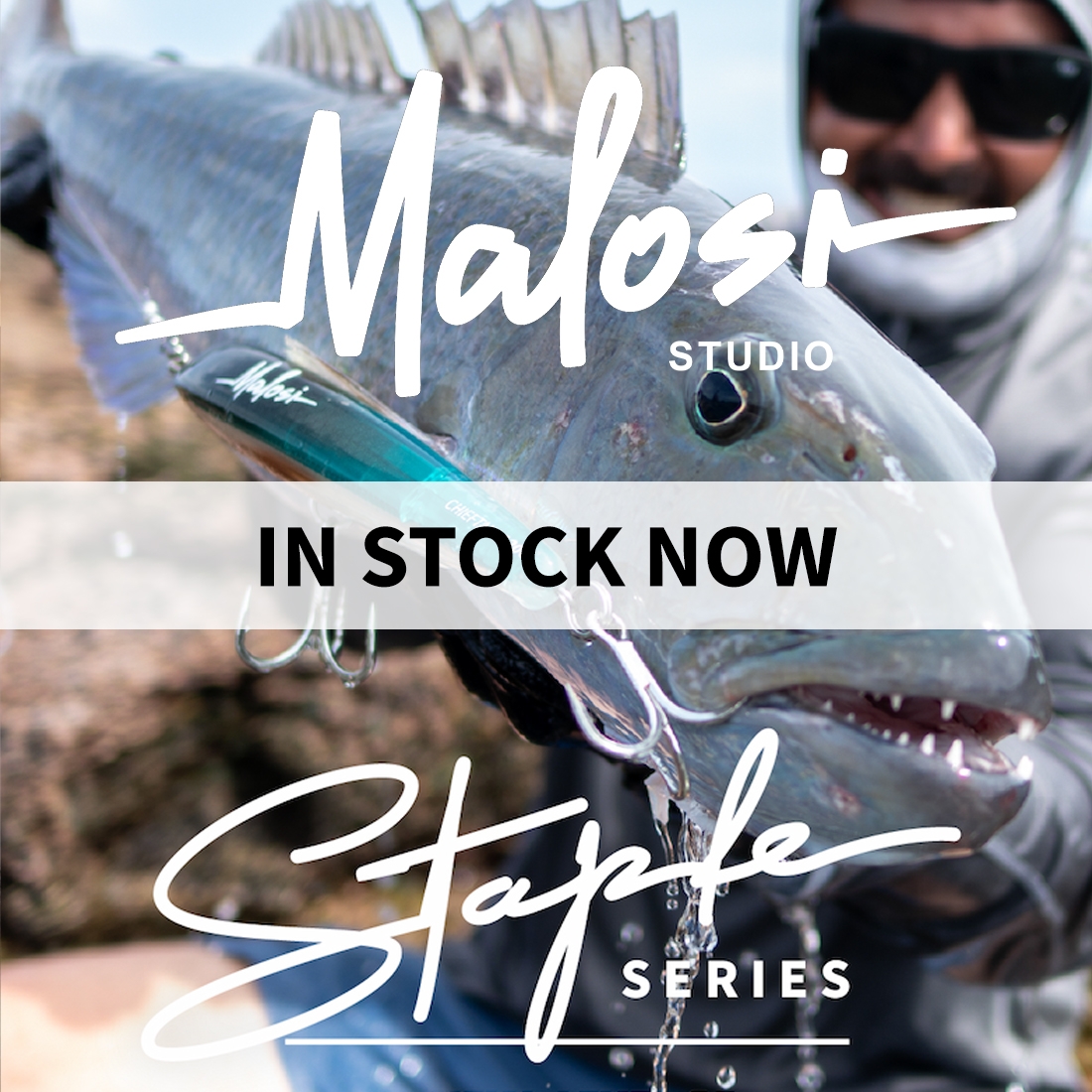 New - Malosi Staple Series