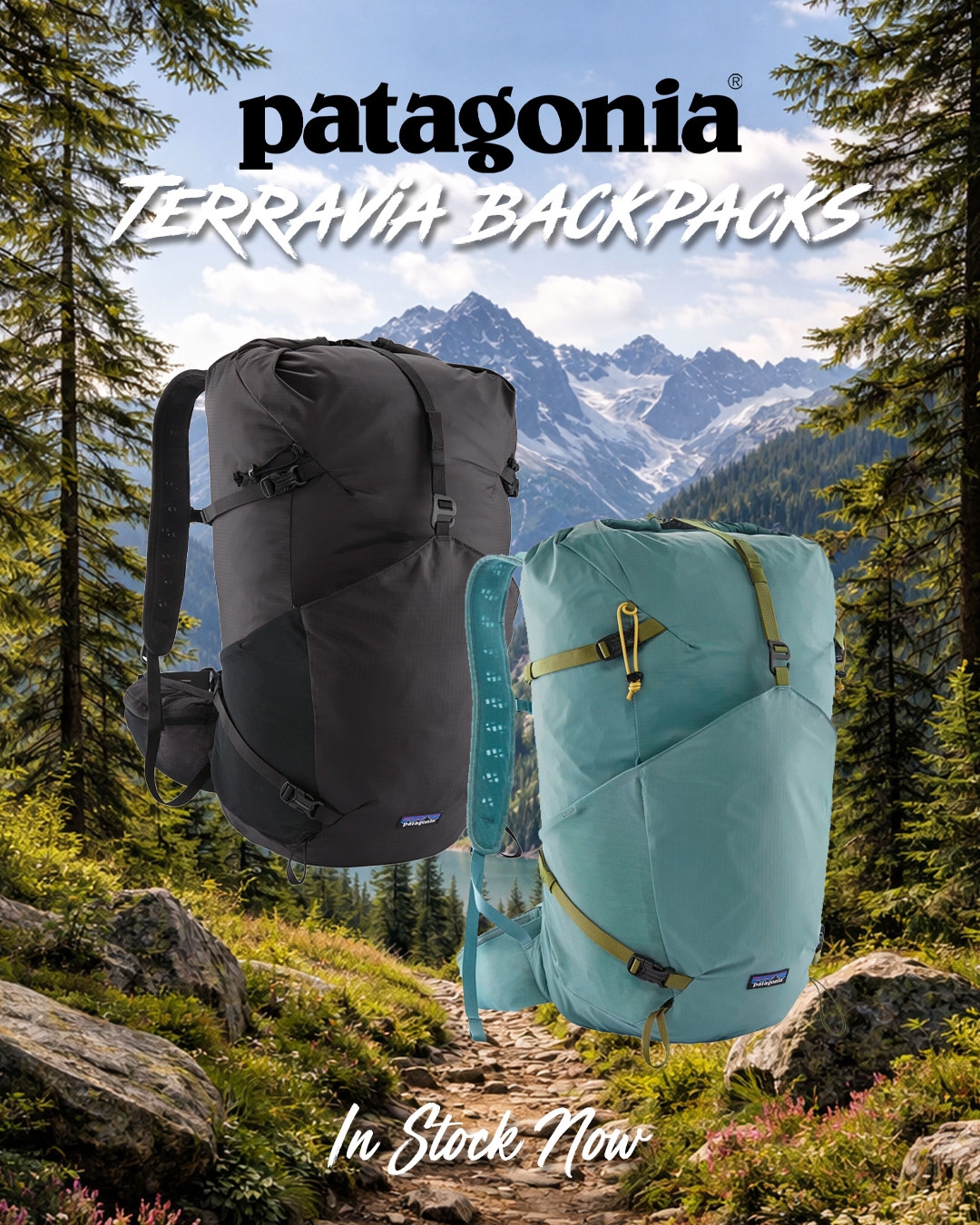New - PATAGONIA TERRAVIA 36L BACKPACK