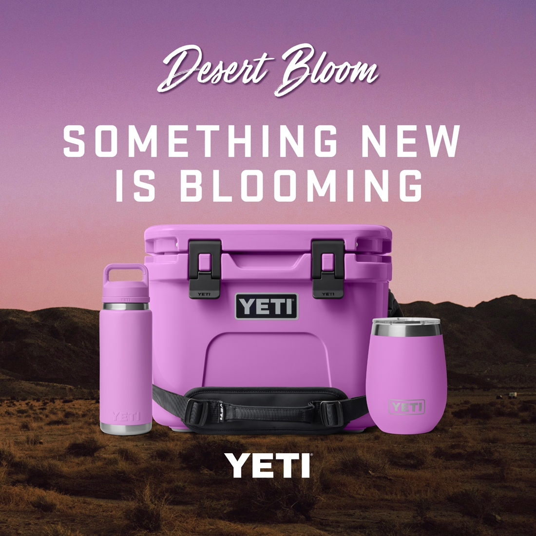 New - Yeti Desert Bloom
