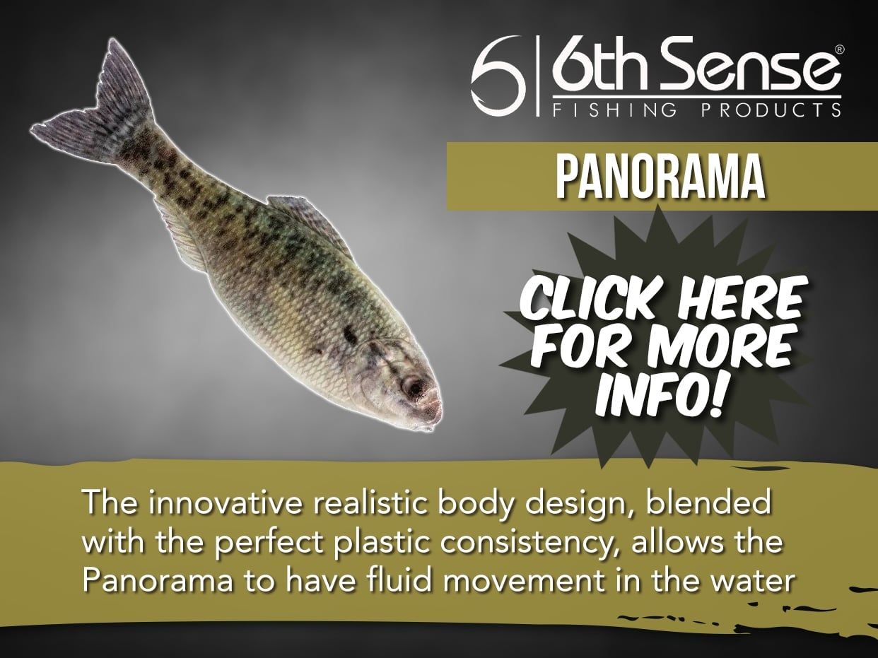6TH SENSE PANORAMA LURE
