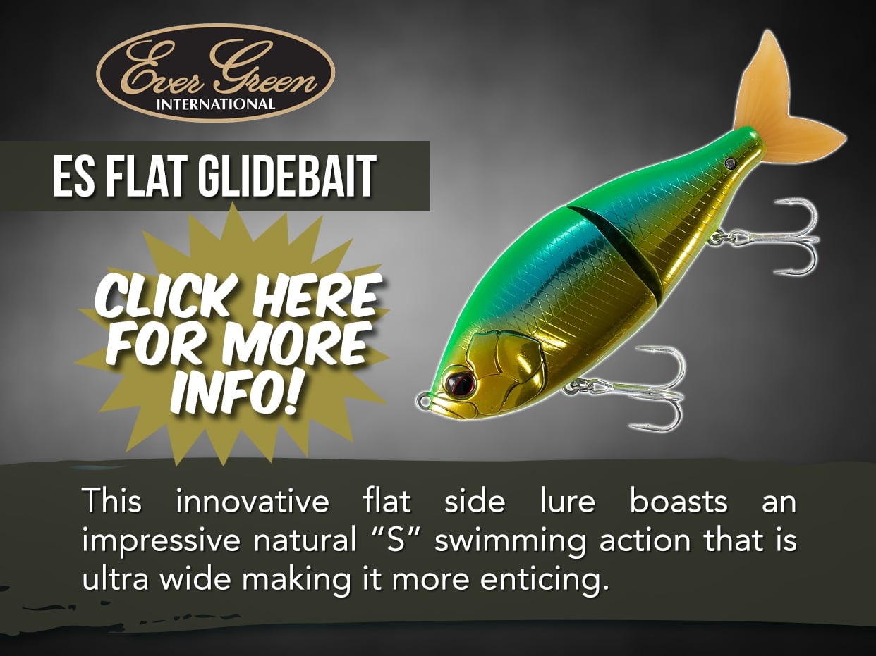 EVER GREEN ES FLAT LURE