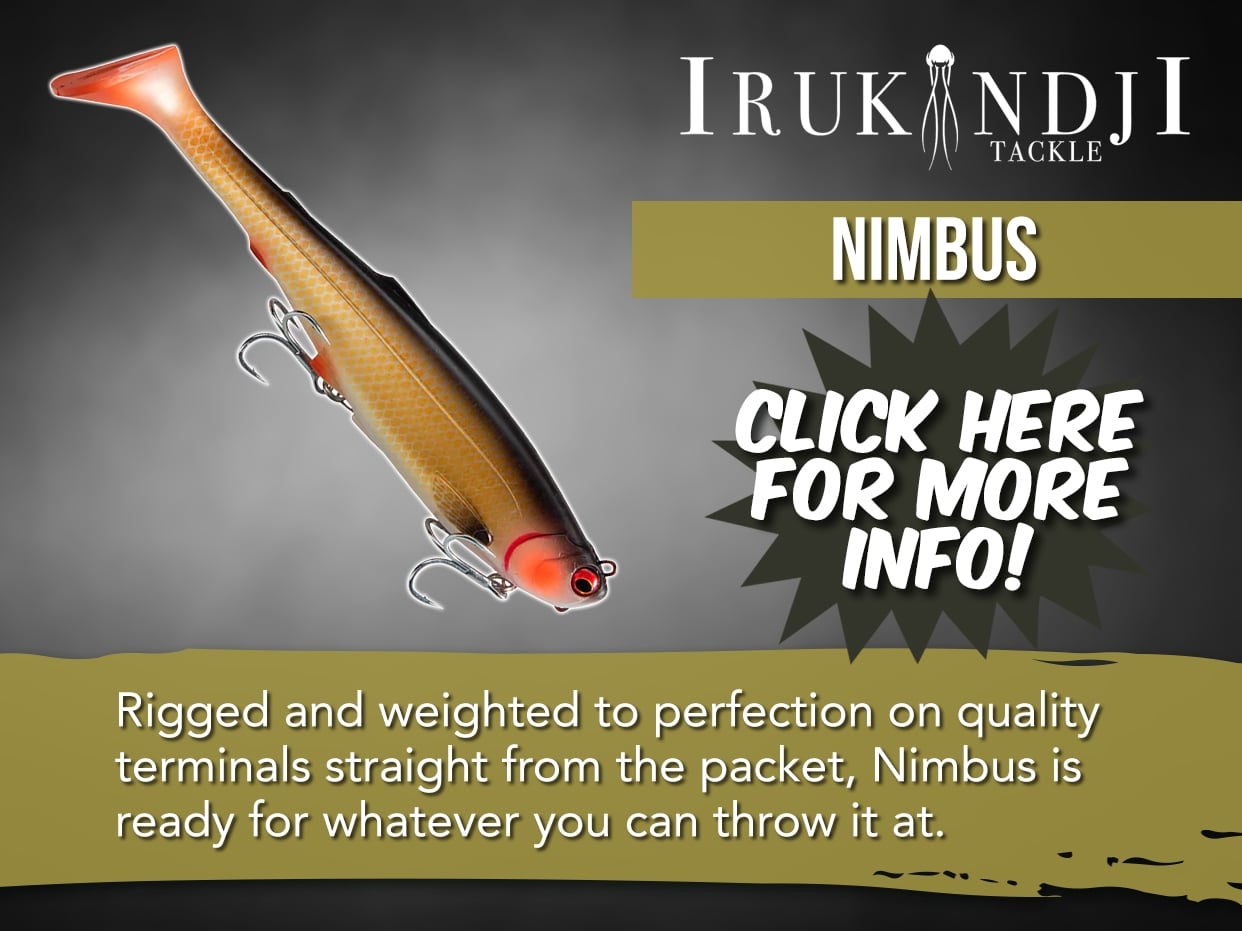 IRUKANDJI NIMBUS LURE