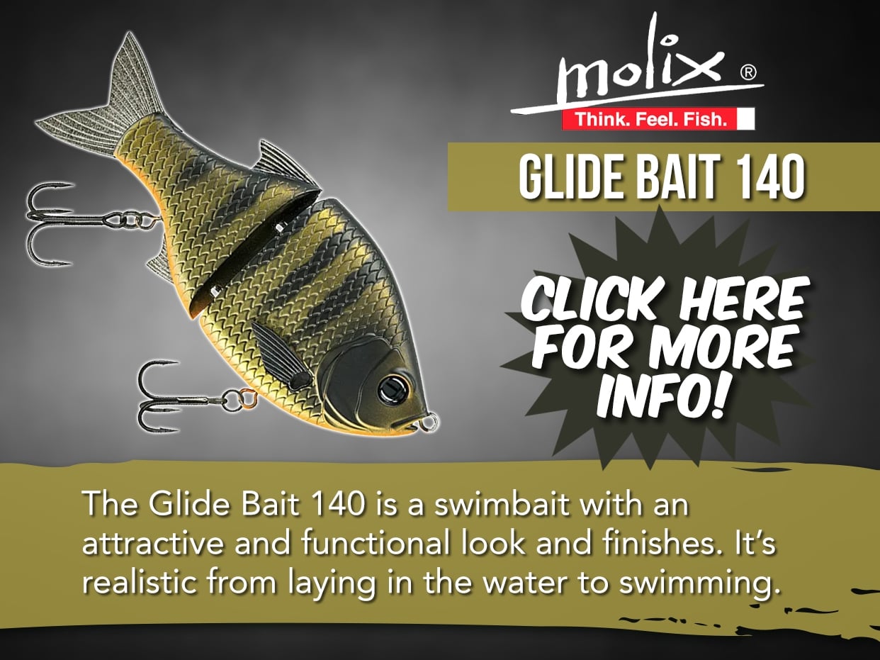 MOLIX GLIDE BAIT 140 LURE