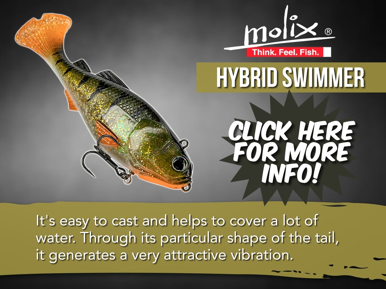 MOLIX HYBRID SWIMMER 165 LURE