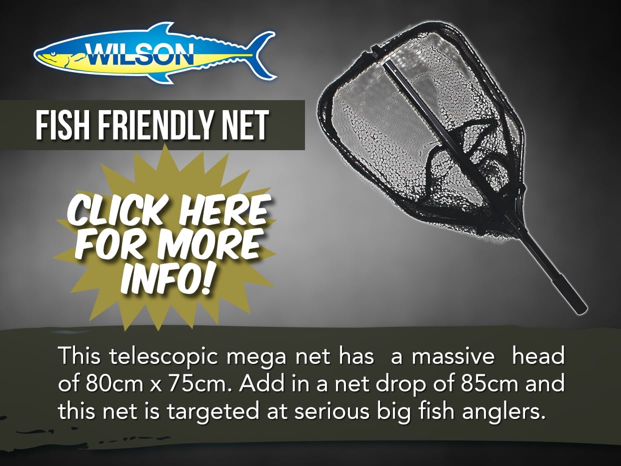 WILSON FISH FRIENDLY FOLDING LANDING NET