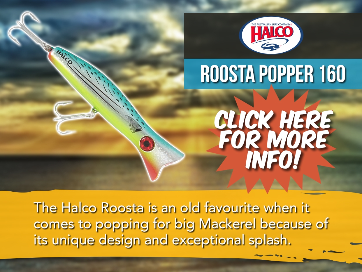 HALCO ROOSTA POPPER LARGE