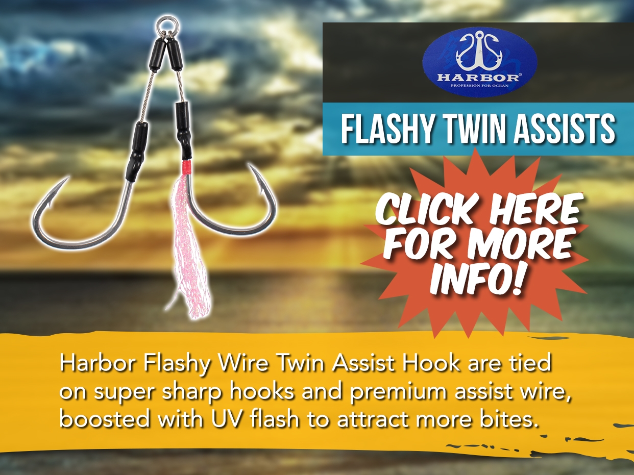 HARBOR FLASHY WIRE TWIN ASSIST HOOK