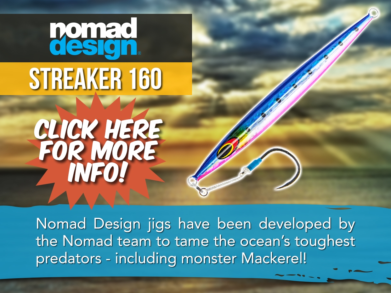 NOMAD STREAKER JIG - 120 - 320G