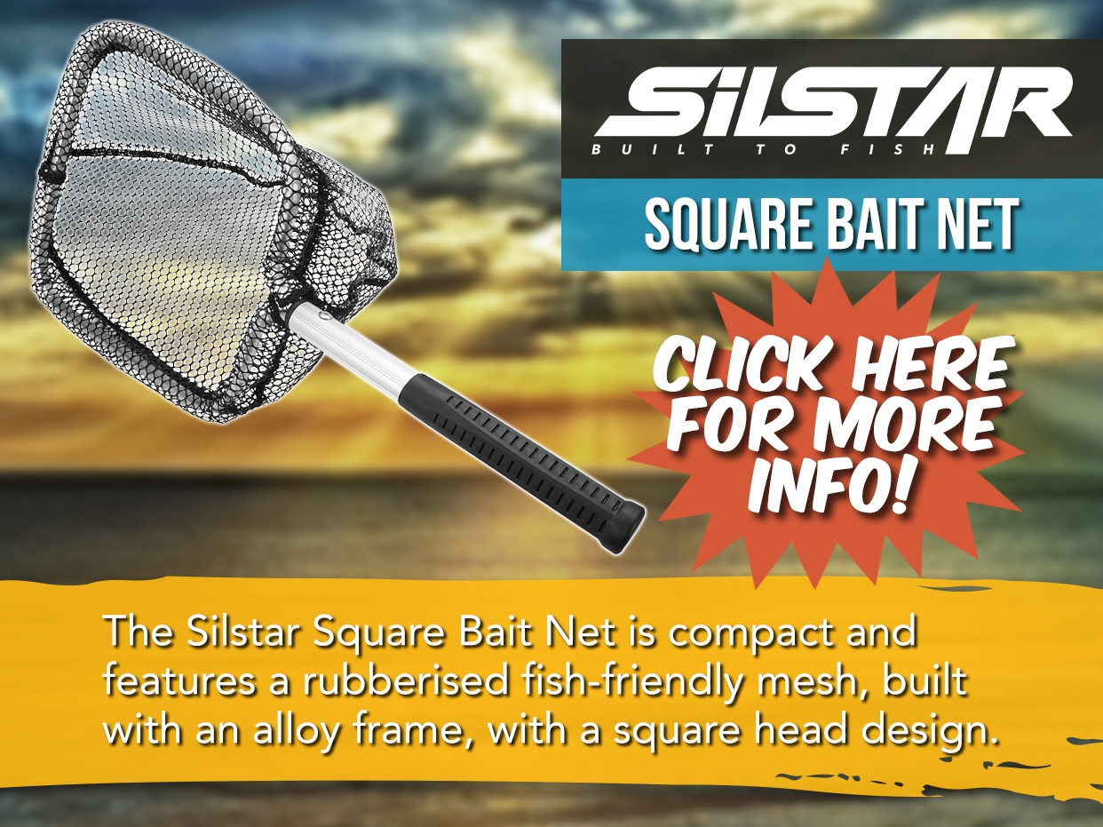 SILSTAR SQUARE BAIT NET