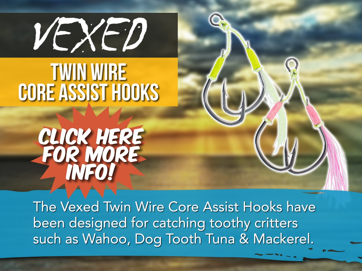 VEXED TWIN WIRE CORE ASSIST HOOK