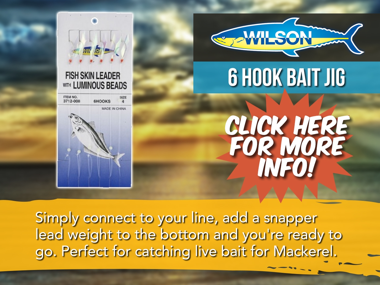 WILSON BAIT RIG - 6 HOOK JIG