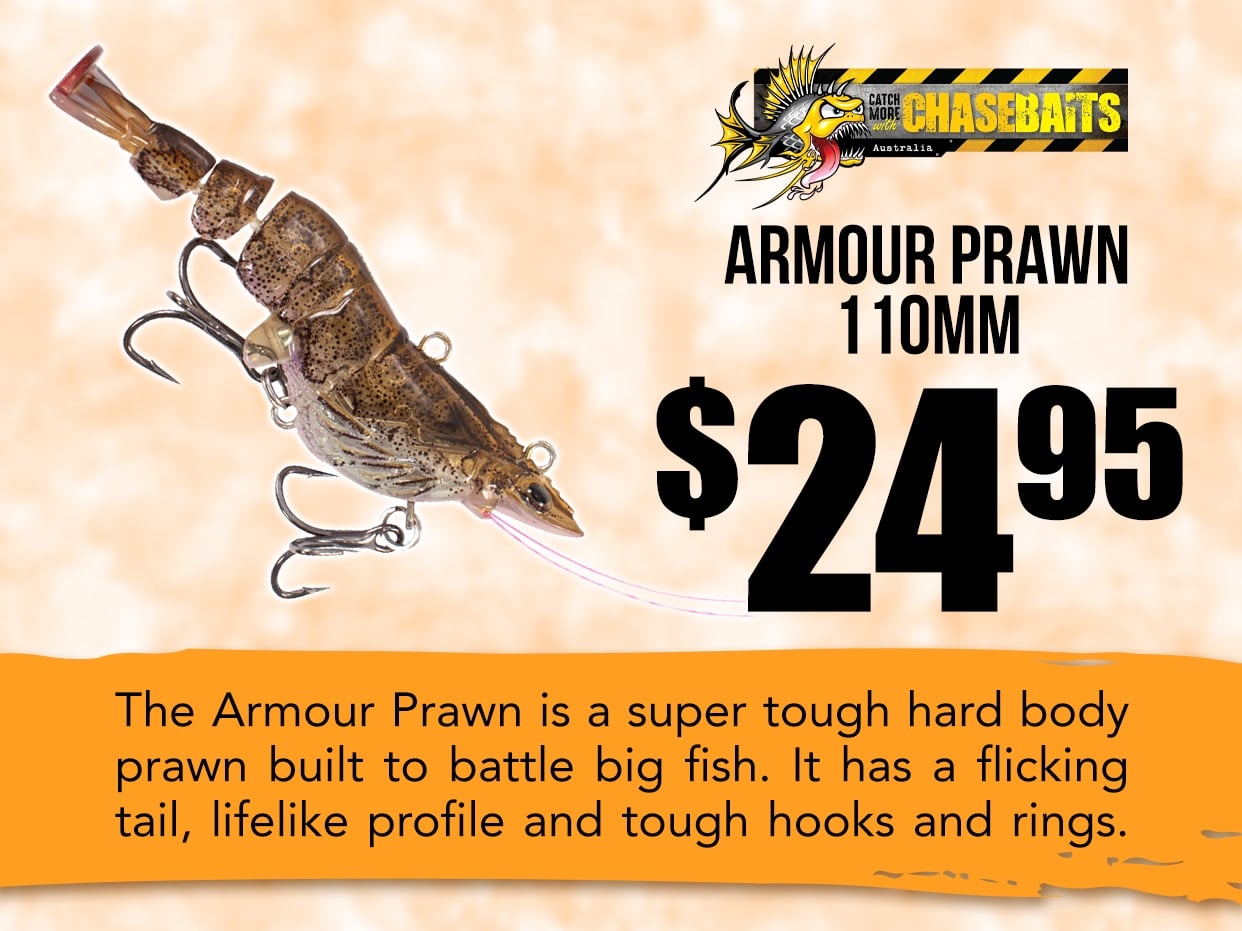 Chasebaits Armour Prawn