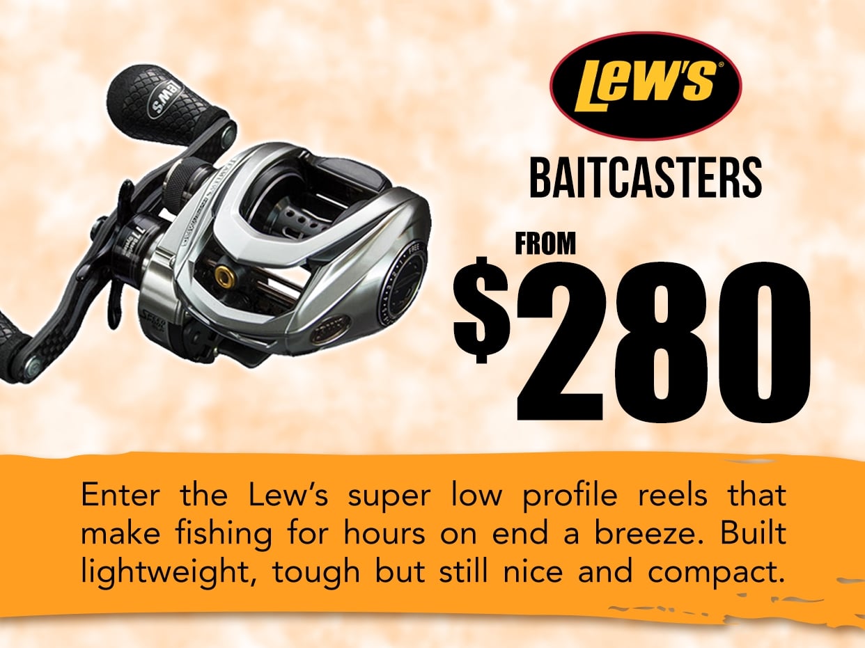 Lews Baitcasters