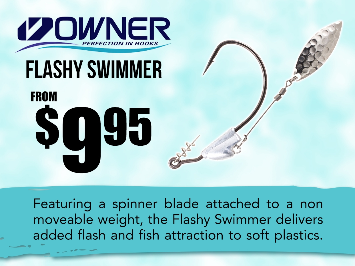 Owner Flashy Swimmer