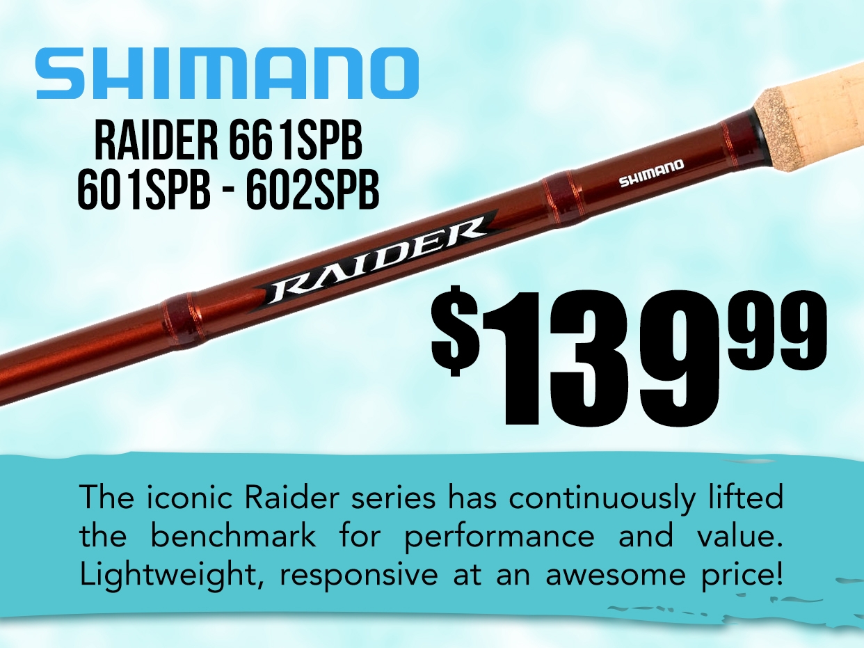 Shimano Raider