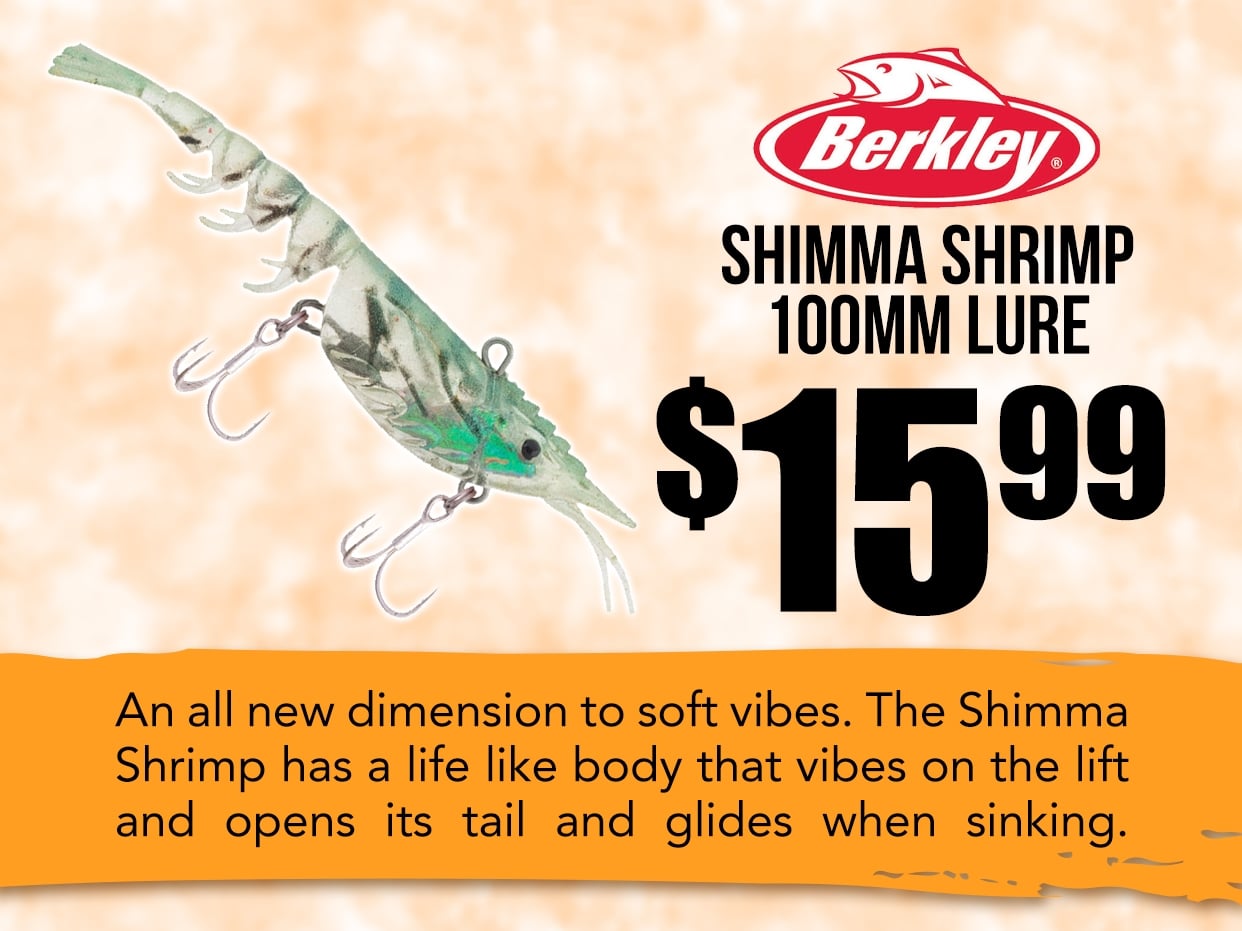 Berkley Shimma Shrimp