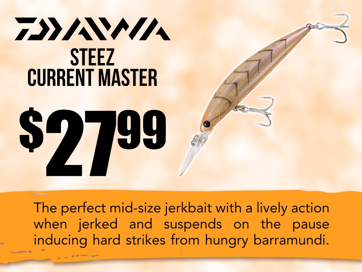 Daiwa Steez