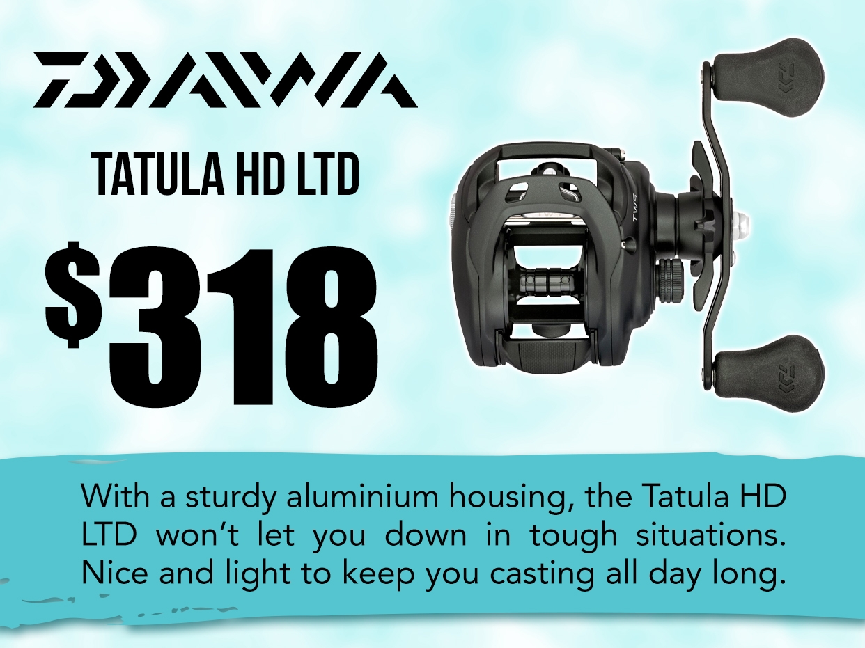 Tatula HD LTD