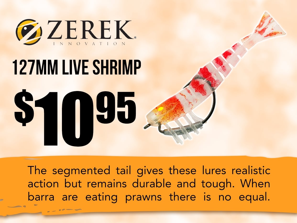 Zerek Live Shrimp