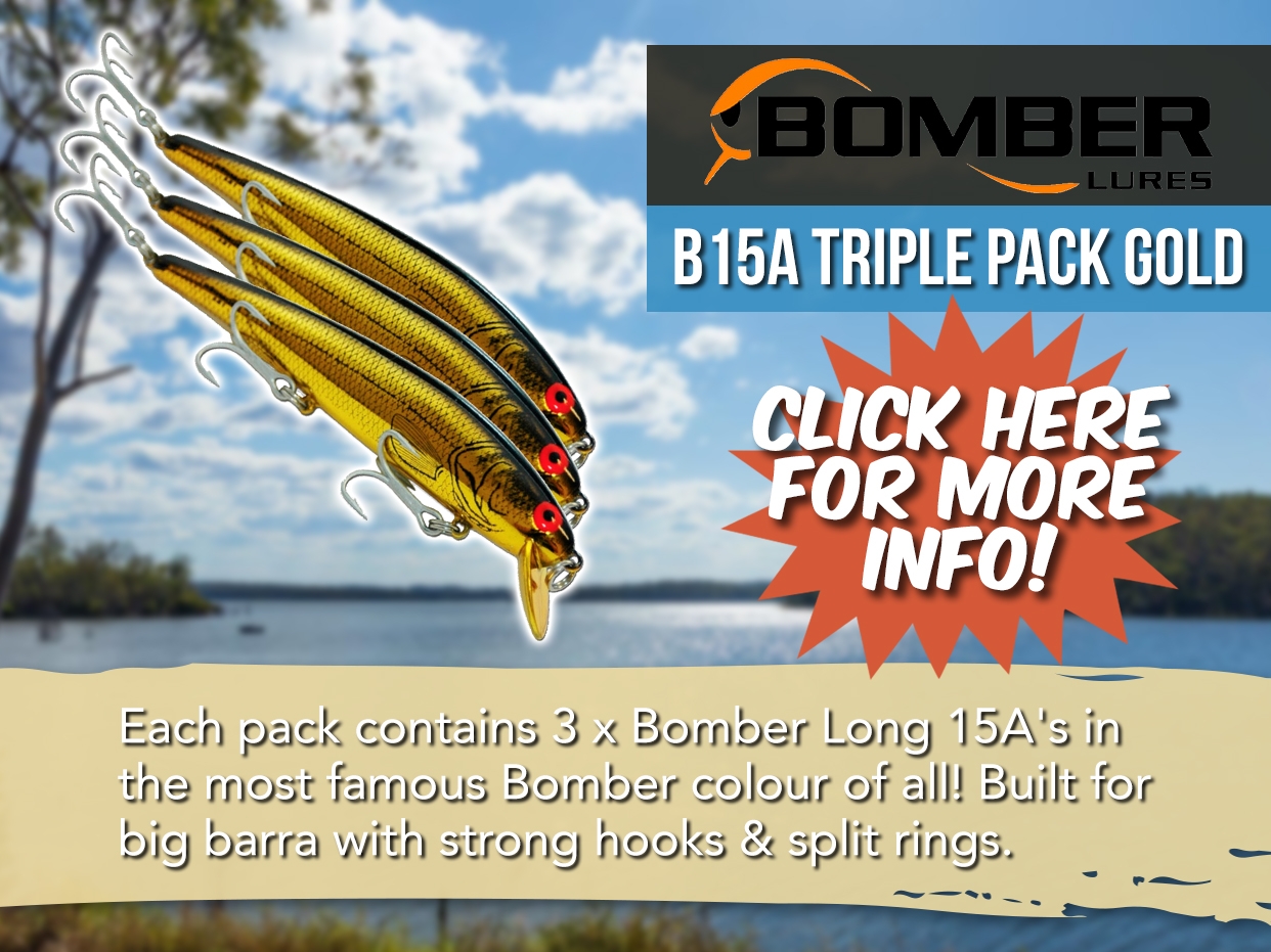 BOMBER LONG A B15A TRIPLE PACK - GOLD
