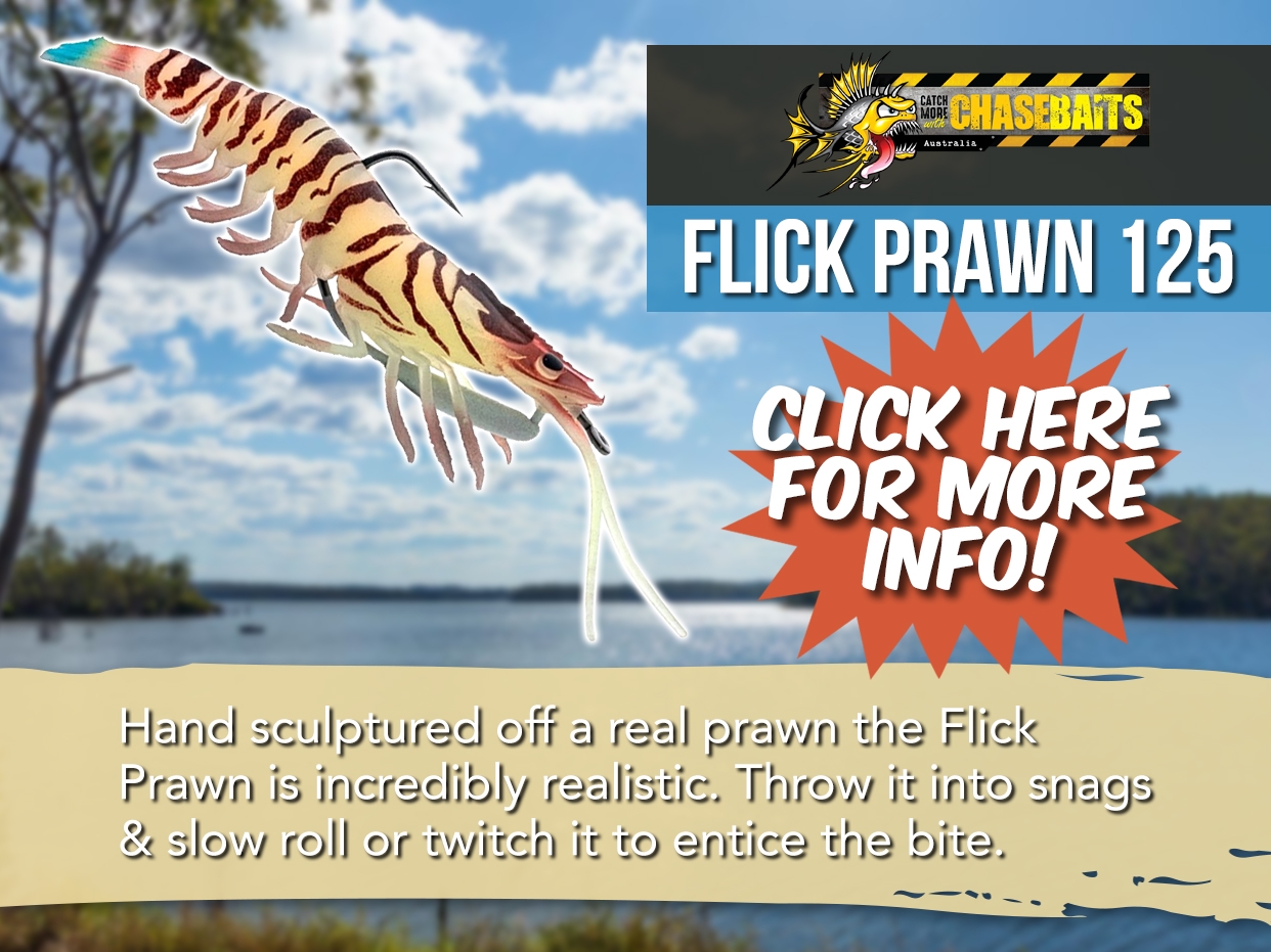 CHASEBAITS FLICK PRAWN LURE